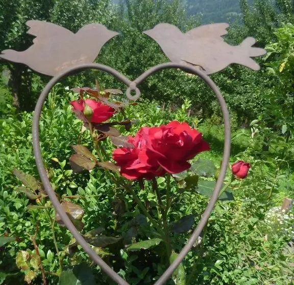 Отель Zittrauerhof   Urlaub Am Bauernhof Gastein