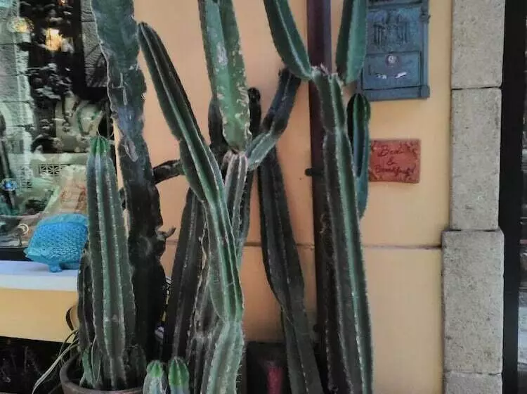 هتل Le Piccole Grotte