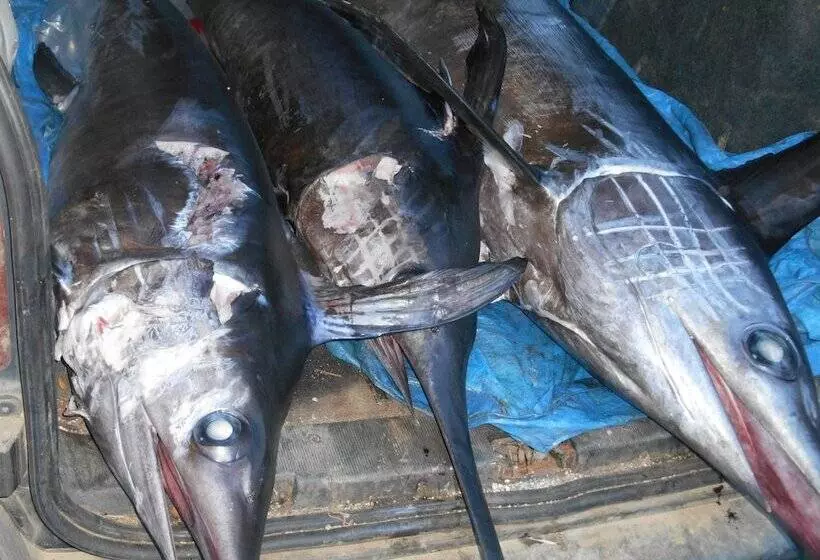 هتل Le Piccole Grotte