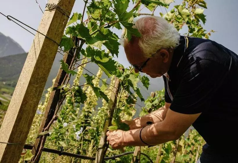 Отель Mein Matillhof