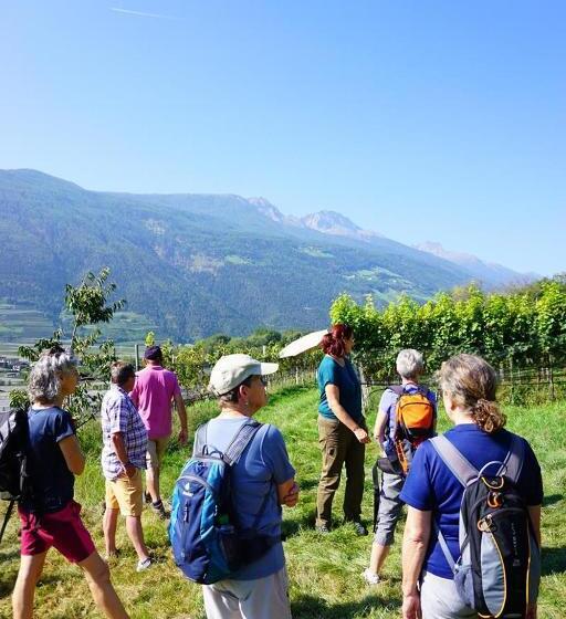 Отель Mein Matillhof