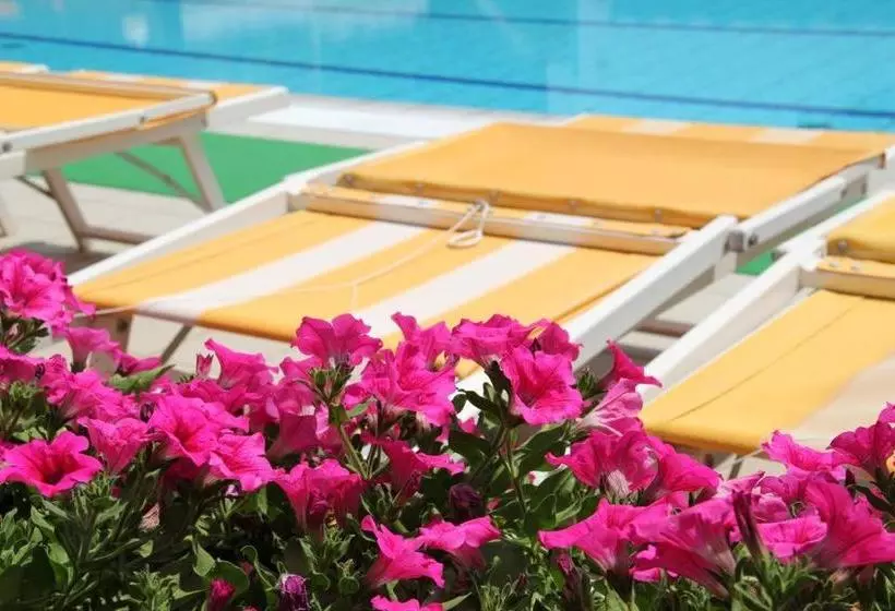 ホテル Palm Beach