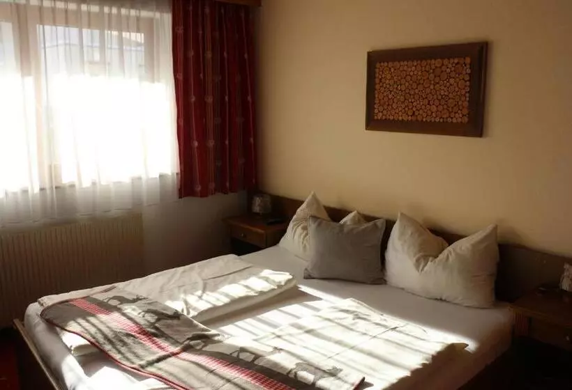 Отель Pension Singer