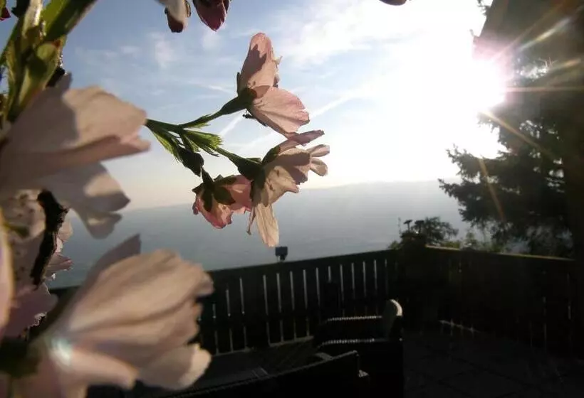 Пансион Garni Gästehaus Karin