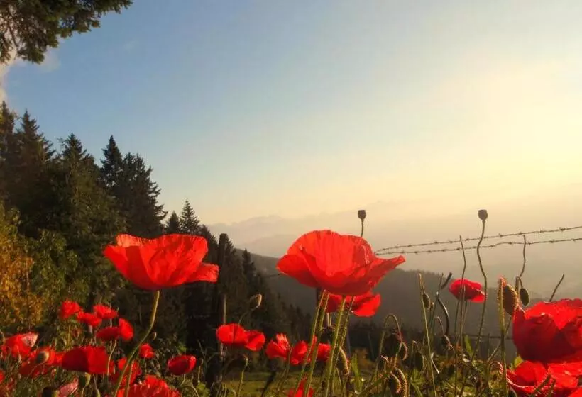 Пансион Garni Gästehaus Karin