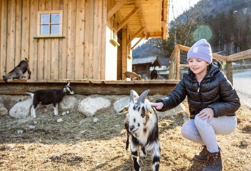 ペンション Gasthof Kleefeld