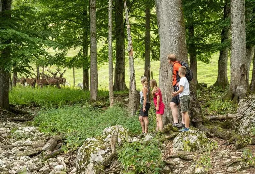 ペンション Gasthof Kleefeld