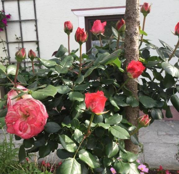 Пансион Jugendgästehaus Oberau