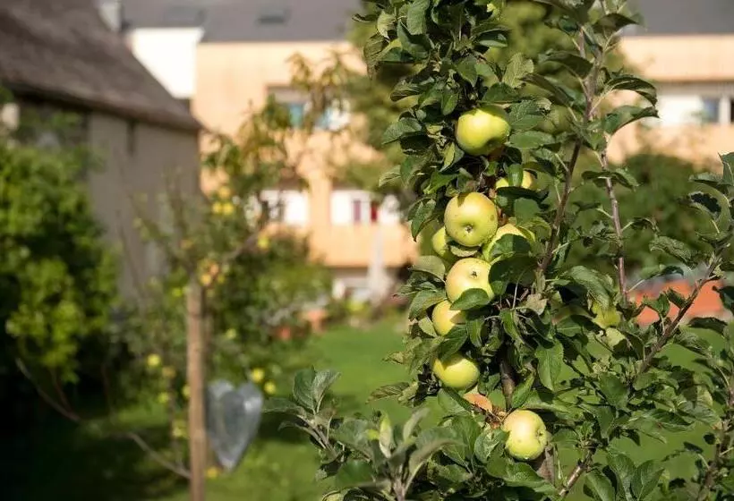 Gourmet   Boutique Hotel Tanzer