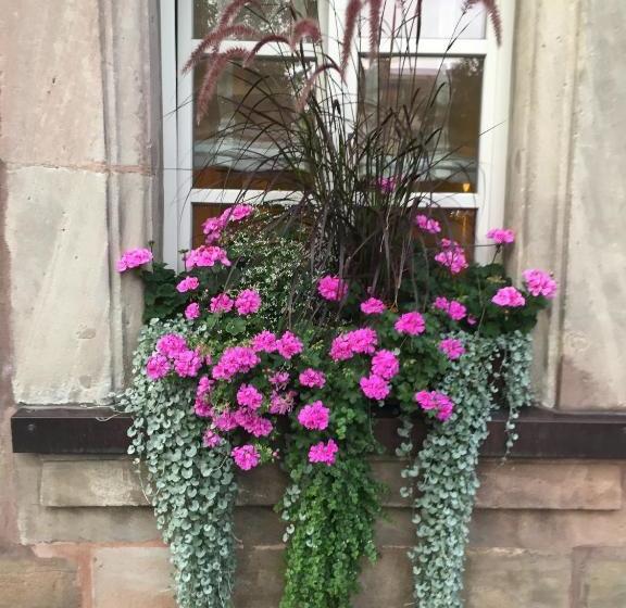 Hotel Altmann's Stube