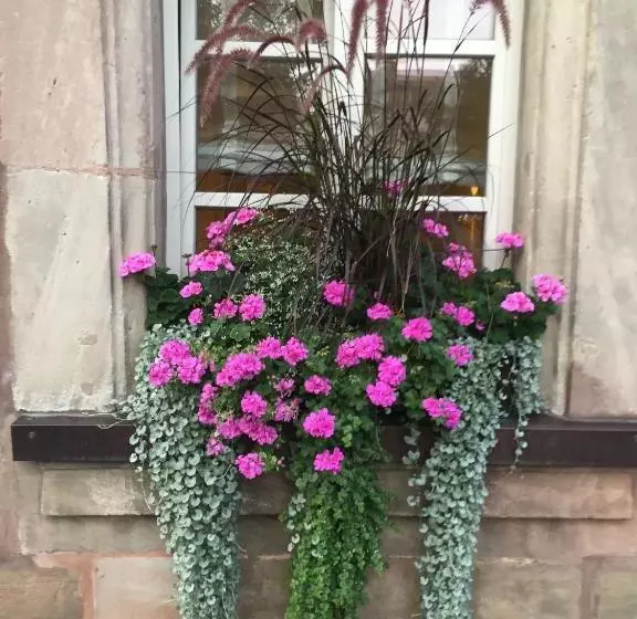 酒店 Altmann's Stube