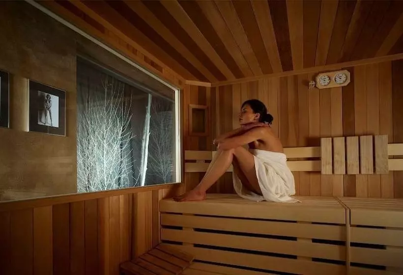 Dv Chalet Boutique Hotel & Spa