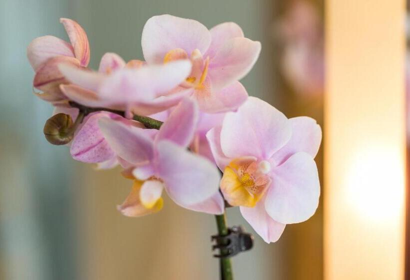 호텔 Fontana   Adults Only