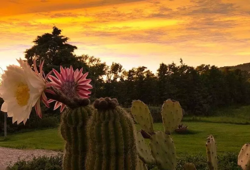 ホテル La Fonte Del Cerro