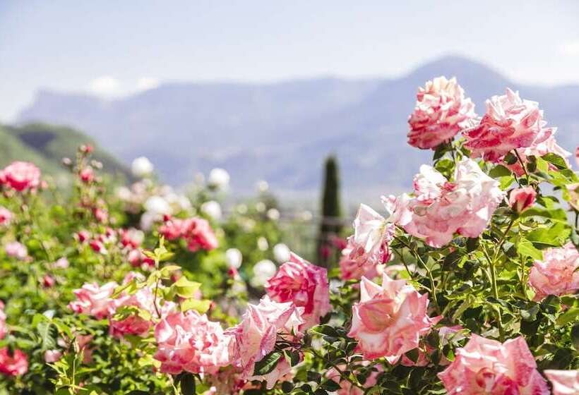 فندق Pienzenau Am Schlosspark