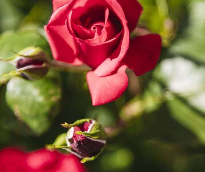 فندق Pienzenau Am Schlosspark