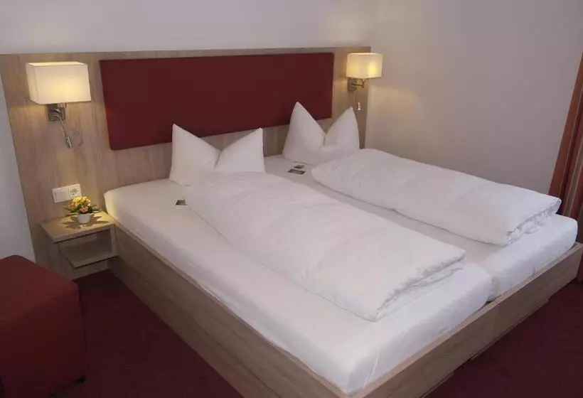 ホテル Zur Traube