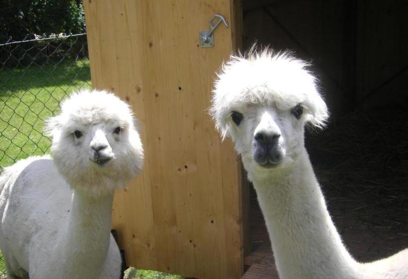 Landhotel Sperlingsberg