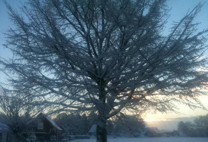 住宿加早餐 Das Alte Wasserwerk