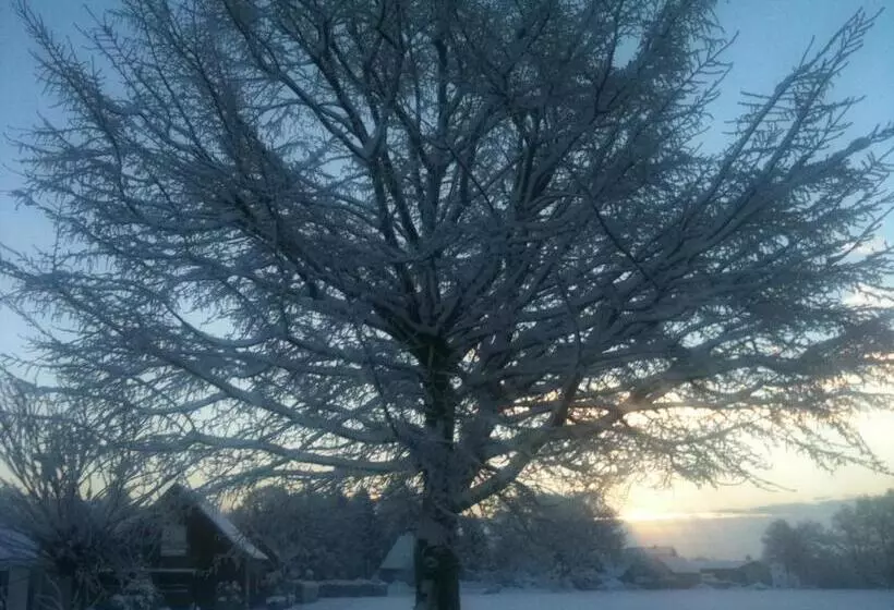 Bed and Breakfast Das Alte Wasserwerk