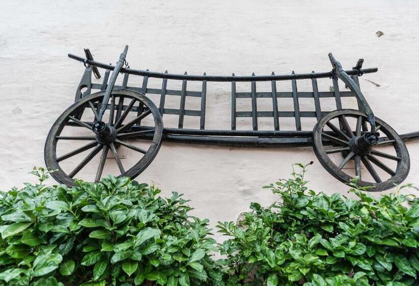 Hotel Altes Weinhaus