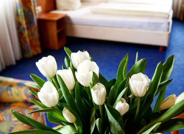 Отель Cafe Rathaus