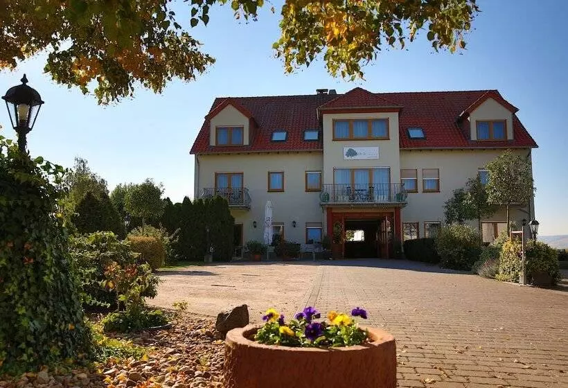 Отель Fetzers Land