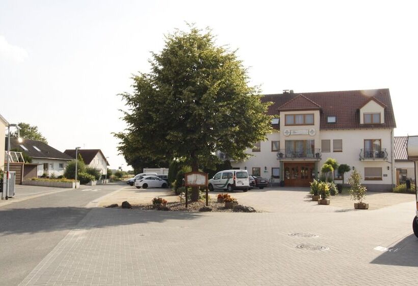 Отель Fetzers Land