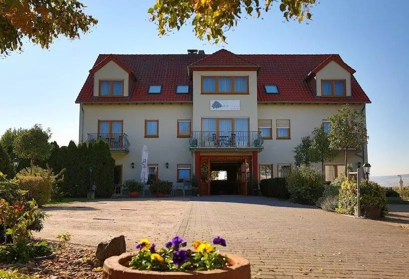 Отель Fetzers Land