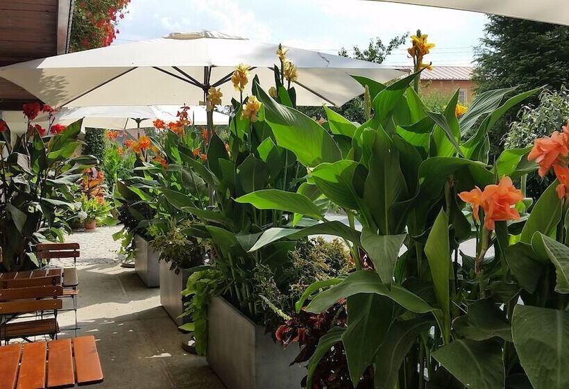 فندق Garni Sonnenhof