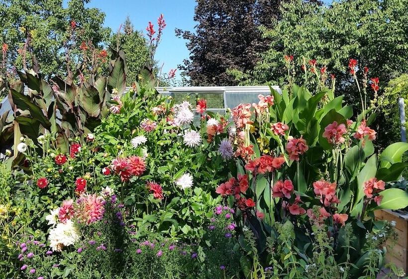 فندق Garni Sonnenhof