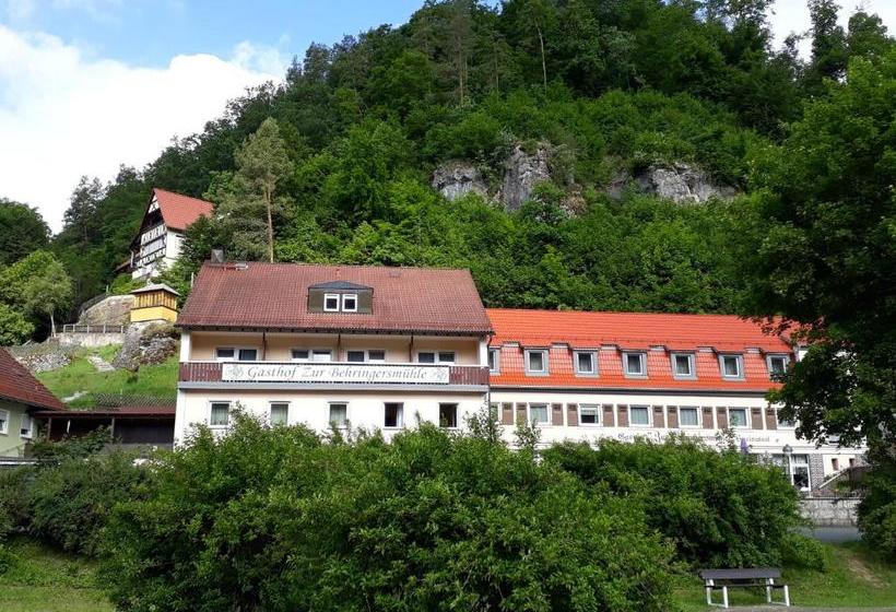 Hotell Gasthof Zur Behringersmühle