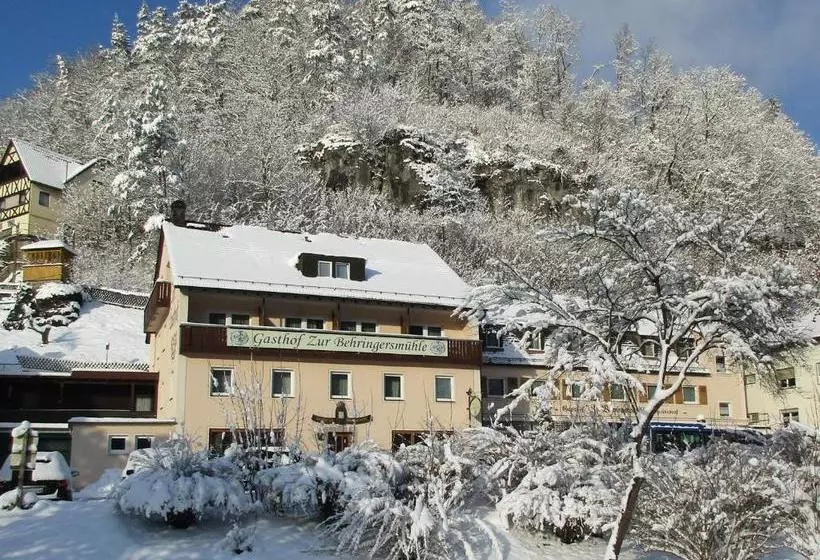 Otel Gasthof Zur Behringersmühle