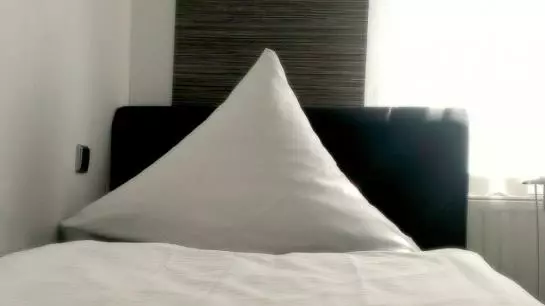 酒店 Germania Stadt