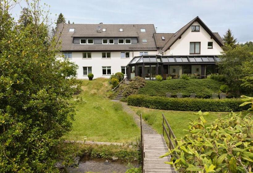 酒店 Im Auerbachtal