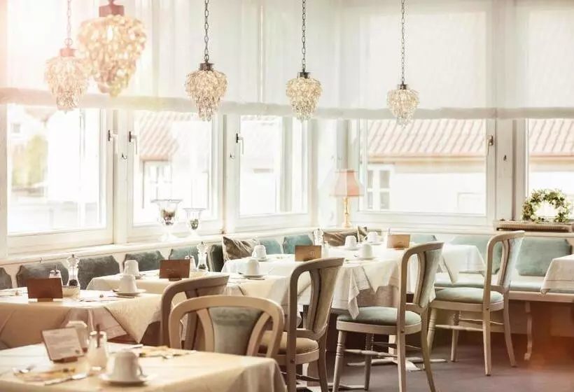 ホテル Traube Revital