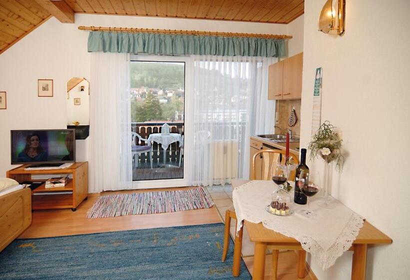 فندق Ursula Garni