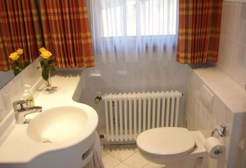 膳宿费 Gasthaus Hirschen