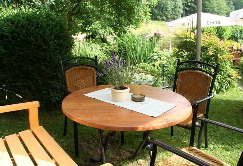 بنسيون Gasthaus Hirschen