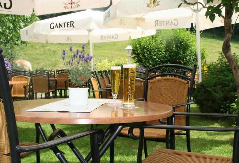 بنسيون Gasthaus Hirschen