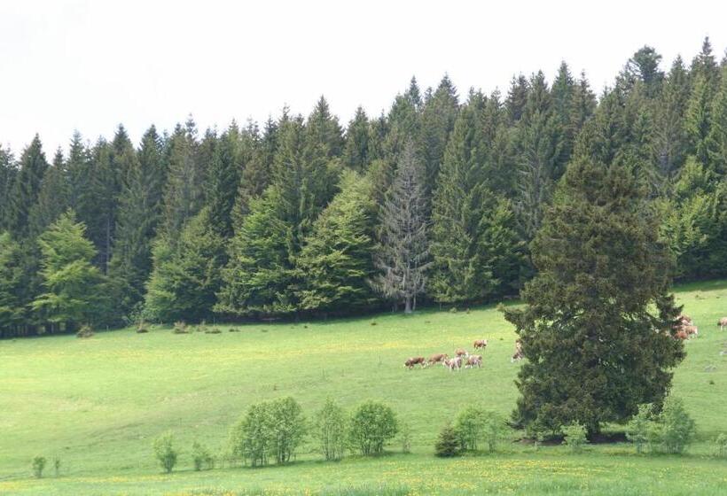 بنسيون Gasthaus Hirschen