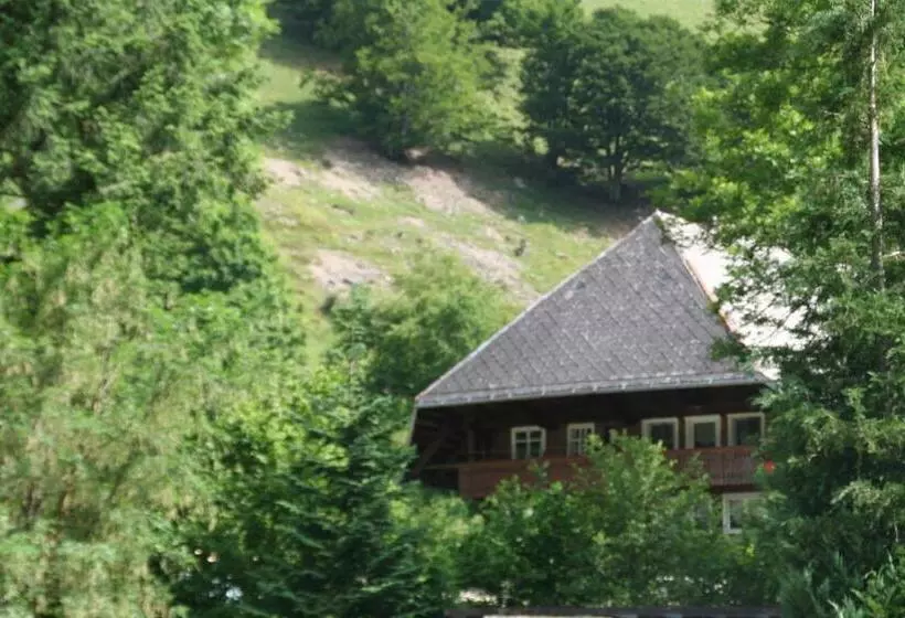 膳宿费 Gasthaus Hirschen