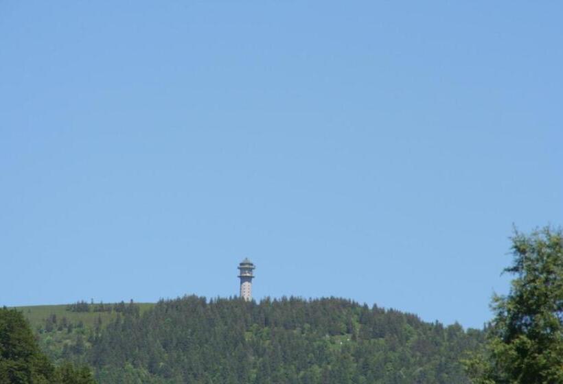 بنسيون Gasthaus Hirschen