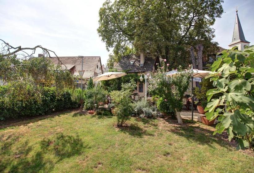 פנסיון Gasthaus Zum Hirschen