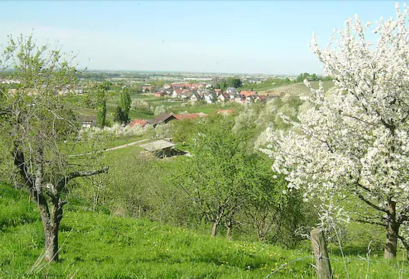 بنسيون Gasthof Rose