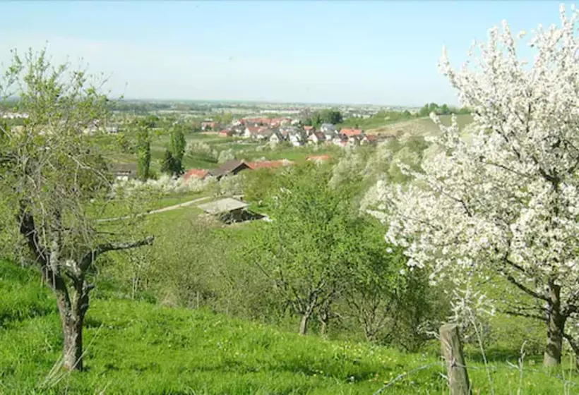 بنسيون Gasthof Rose