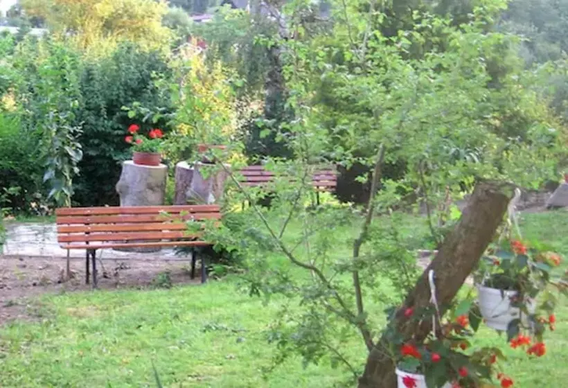 بنسيون Gasthof Rose