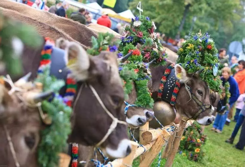 Пансион Oyer Hof   Selbst Service