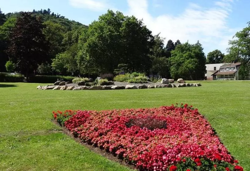 住宿加早餐 Pension Villa Irene