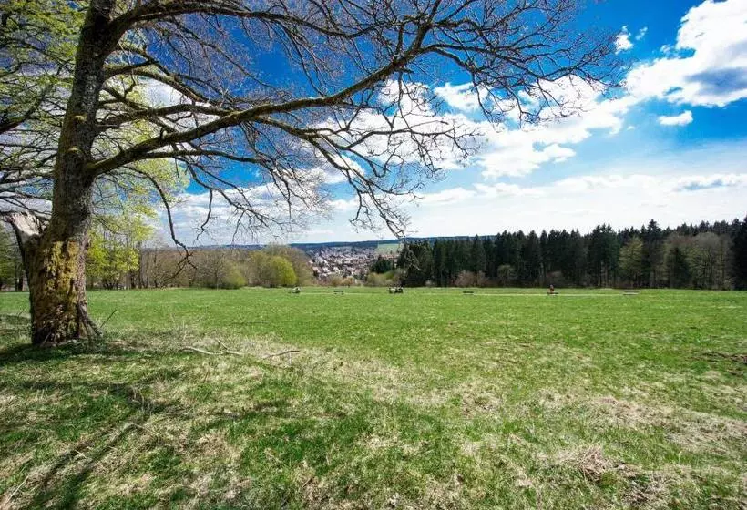 مبيت وإفطار Pension Winkel